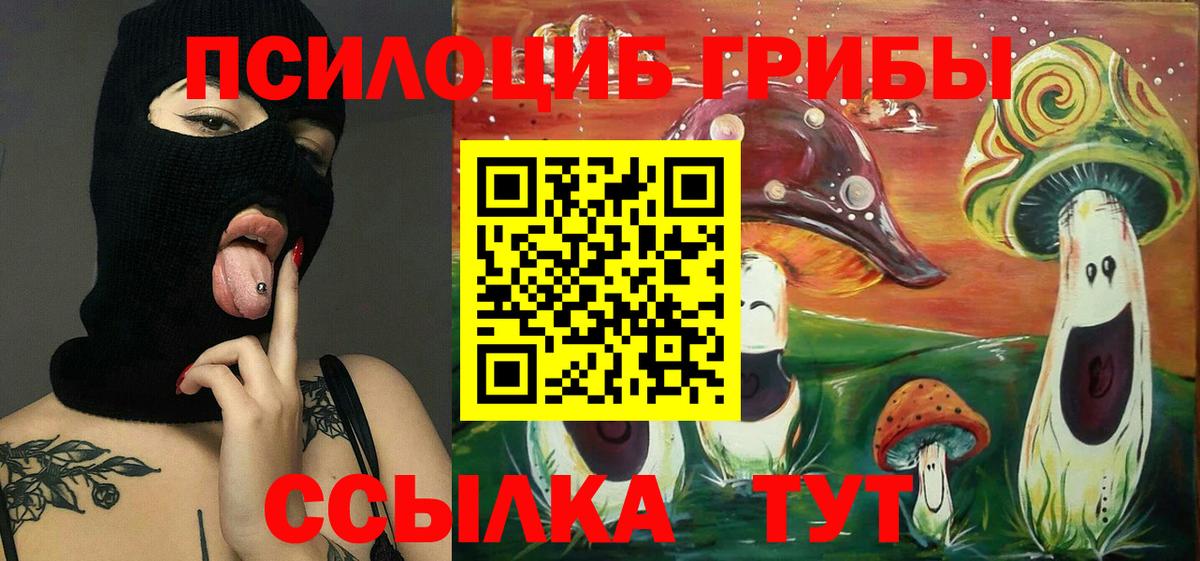 Псилоцибиновые грибы Psilocybe  Вход с VPN  Псилоцибиновые грибы ЛСД  Бирск 