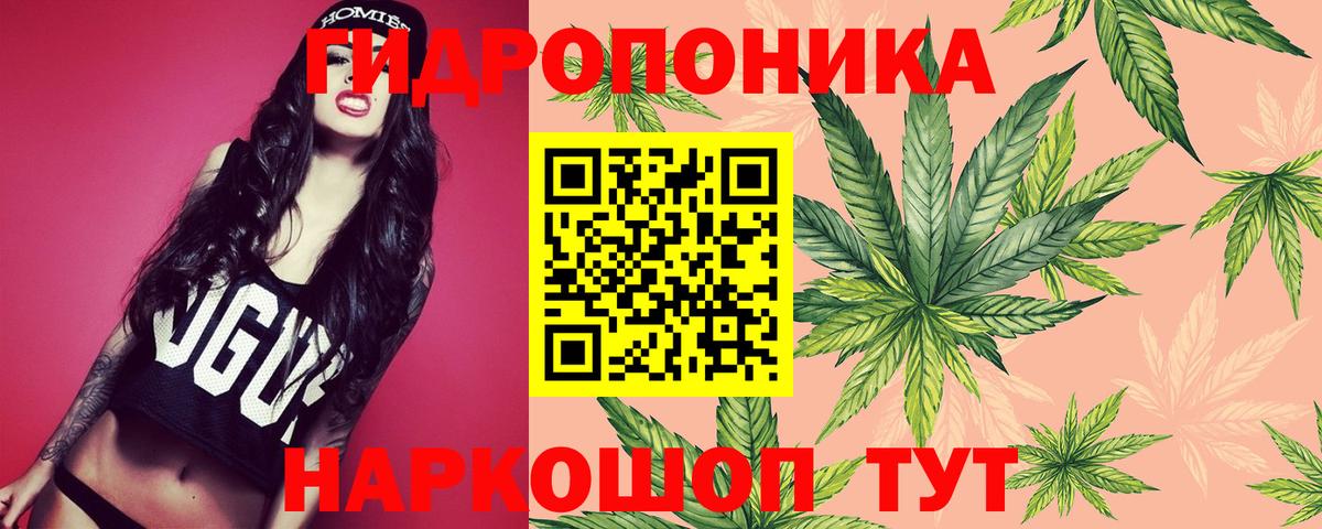 Бошки Шишки VHQ Бирск